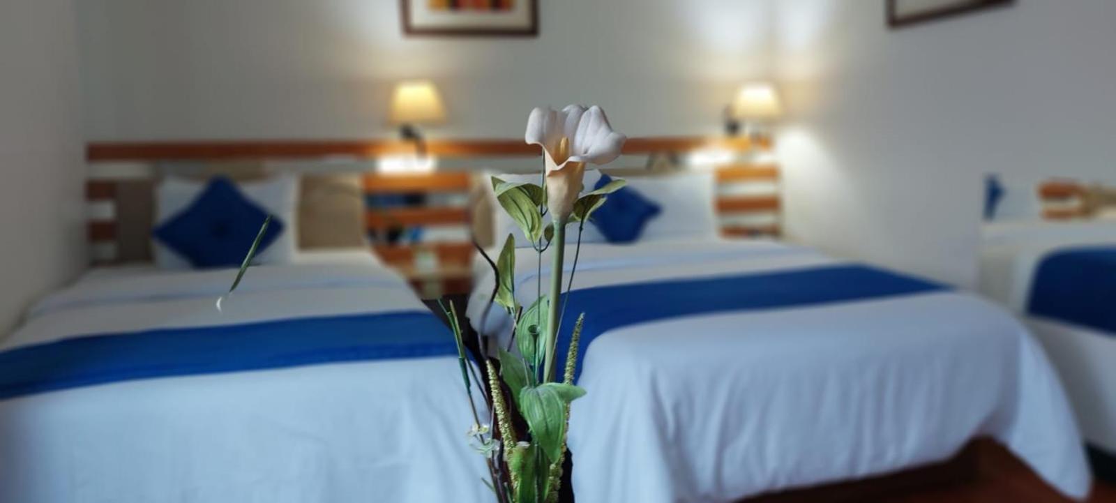Blue Star Hotel ลิมา ภายนอก รูปภาพ